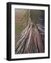 Eroded landscape on Volcano Montana de Soo, Canary Islands-Juan Carlos Munoz-Framed Photographic Print