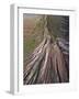 Eroded landscape on Volcano Montana de Soo, Canary Islands-Juan Carlos Munoz-Framed Photographic Print