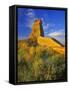 Eroded Monument in the Little Missouri National Grasslands, North Dakota, USA-Chuck Haney-Framed Stretched Canvas