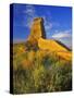 Eroded Monument in the Little Missouri National Grasslands, North Dakota, USA-Chuck Haney-Stretched Canvas