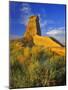 Eroded Monument in the Little Missouri National Grasslands, North Dakota, USA-Chuck Haney-Mounted Photographic Print