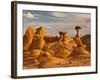 Eroded Rock, Grand Staircase Escalante National Monument, Utah, USA-Cathy & Gordon Illg-Framed Photographic Print