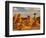 Eroded Rock, Grand Staircase Escalante National Monument, Utah, USA-Cathy & Gordon Illg-Framed Photographic Print