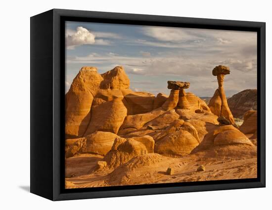 Eroded Rock, Grand Staircase Escalante National Monument, Utah, USA-Cathy & Gordon Illg-Framed Stretched Canvas