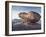 Eroded Rock on Summit of Cul Mor with Suilven Mountain in the Background, Assynt Mountains, UK-Joe Cornish-Framed Photographic Print