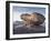 Eroded Rock on Summit of Cul Mor with Suilven Mountain in the Background, Assynt Mountains, UK-Joe Cornish-Framed Photographic Print