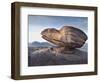 Eroded Rock on Summit of Cul Mor with Suilven Mountain in the Background, Assynt Mountains, UK-Joe Cornish-Framed Photographic Print