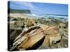 Eroded Sandstone Boulders at Garie Beach in Royal National Park, New South Wales, Australia-Robert Francis-Stretched Canvas