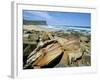 Eroded Sandstone Boulders at Garie Beach in Royal National Park, New South Wales, Australia-Robert Francis-Framed Photographic Print