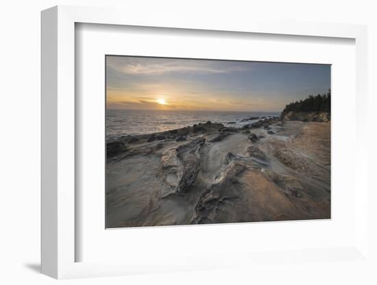 Eroded sandstone concretions and formations at Shore Acres State Park, Oregon.-Alan Majchrowicz-Framed Photographic Print