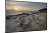 Eroded sandstone concretions and formations at Shore Acres State Park, Oregon.-Alan Majchrowicz-Mounted Photographic Print