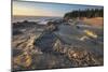 Eroded sandstone concretions and formations at Shore Acres State Park, Oregon.-Alan Majchrowicz-Mounted Photographic Print