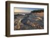 Eroded sandstone concretions and formations at Shore Acres State Park, Oregon.-Alan Majchrowicz-Framed Photographic Print