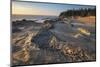 Eroded sandstone concretions and formations at Shore Acres State Park, Oregon.-Alan Majchrowicz-Mounted Photographic Print