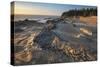 Eroded sandstone concretions and formations at Shore Acres State Park, Oregon.-Alan Majchrowicz-Stretched Canvas