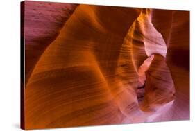 Eroded Sandstone Patterns on Walls of Lower Canyon-Juan Carlos Munoz-Stretched Canvas