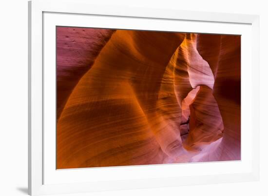 Eroded Sandstone Patterns on Walls of Lower Canyon-Juan Carlos Munoz-Framed Photographic Print