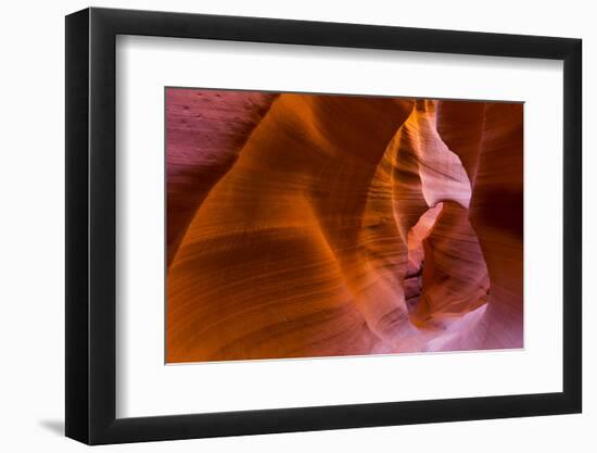 Eroded Sandstone Patterns on Walls of Lower Canyon-Juan Carlos Munoz-Framed Photographic Print