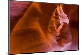 Eroded Sandstone Patterns on Walls of Lower Canyon-Juan Carlos Munoz-Mounted Photographic Print