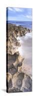 Eroded shoreline, Sea of Cortez, El Cardonal, Baja California Sur, Mexico-Panoramic Images-Stretched Canvas