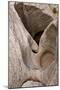 Eroded watercourse in Navajo sandstone of narrow canyon, Hidden Canyon, off Zion Canyon, Zion-Bob Gibbons-Mounted Photographic Print