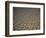 Eroding Ground of Desert-Tim Tadder-Framed Photographic Print