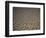 Eroding Ground of Desert-Tim Tadder-Framed Photographic Print