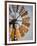 Erongo Region, Okahandja, the Fins of a Windmill Highlighted by the Setting Sun, Namibia-Mark Hannaford-Framed Photographic Print