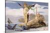 Eros and Aphrodite (Oil on Canvas)-Edouard Toudouze-Stretched Canvas