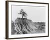 Erosion near Jackson, Mississippi, 1936-Walker Evans-Framed Photographic Print