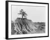 Erosion near Jackson, Mississippi, 1936-Walker Evans-Framed Photographic Print