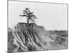 Erosion near Jackson, Mississippi, 1936-Walker Evans-Mounted Photographic Print