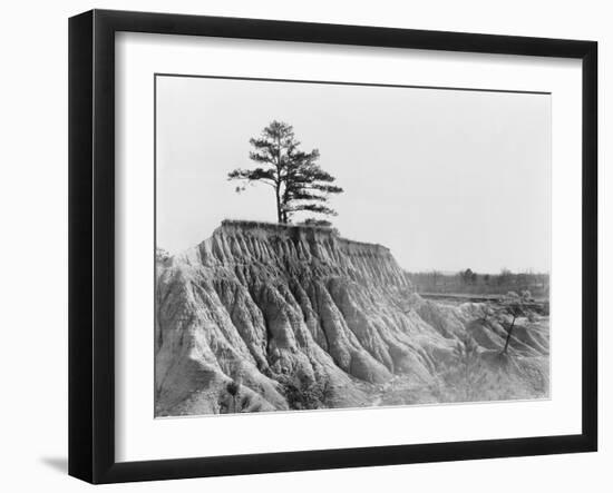 Erosion near Jackson, Mississippi, 1936-Walker Evans-Framed Photographic Print