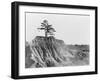 Erosion near Jackson, Mississippi, 1936-Walker Evans-Framed Photographic Print