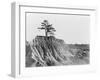 Erosion near Jackson, Mississippi, 1936-Walker Evans-Framed Photographic Print