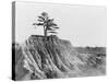 Erosion near Jackson, Mississippi, 1936-Walker Evans-Stretched Canvas