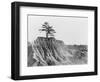 Erosion near Jackson, Mississippi, 1936-Walker Evans-Framed Photographic Print