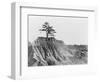 Erosion near Jackson, Mississippi, 1936-Walker Evans-Framed Photographic Print