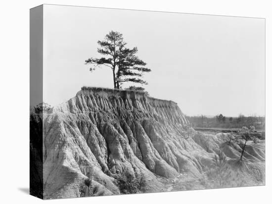 Erosion near Jackson, Mississippi, 1936-Walker Evans-Stretched Canvas