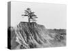 Erosion near Jackson, Mississippi, 1936-Walker Evans-Stretched Canvas