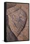 Erosion Pattern in Navajo Sandstone-James Hager-Framed Stretched Canvas