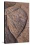 Erosion Pattern in Navajo Sandstone-James Hager-Stretched Canvas