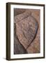 Erosion Pattern in Navajo Sandstone-James Hager-Framed Photographic Print