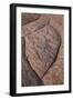 Erosion Pattern in Navajo Sandstone-James Hager-Framed Photographic Print