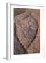Erosion Pattern in Navajo Sandstone-James Hager-Framed Photographic Print