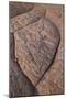 Erosion Pattern in Navajo Sandstone-James Hager-Mounted Photographic Print