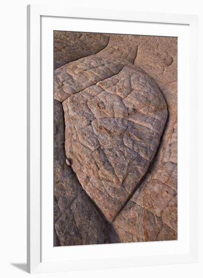 Erosion Pattern in Navajo Sandstone-James Hager-Framed Photographic Print