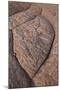 Erosion Pattern in Navajo Sandstone-James Hager-Mounted Photographic Print