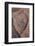 Erosion Pattern in Navajo Sandstone-James Hager-Framed Photographic Print