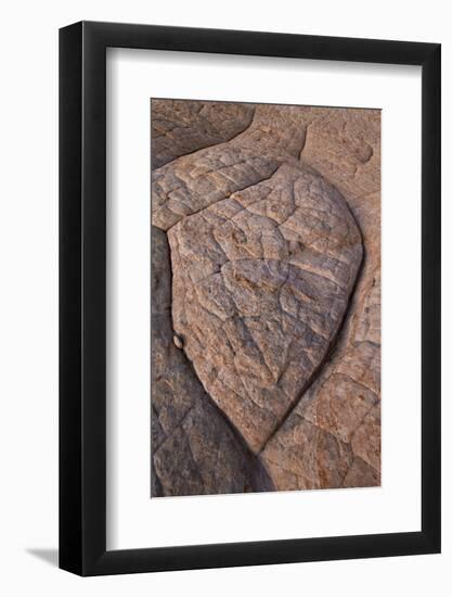 Erosion Pattern in Navajo Sandstone-James Hager-Framed Photographic Print